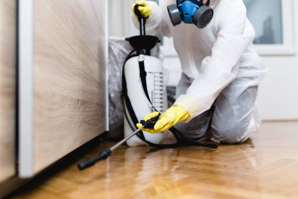 Best Mosquito Control Services  in Lafayette, CA