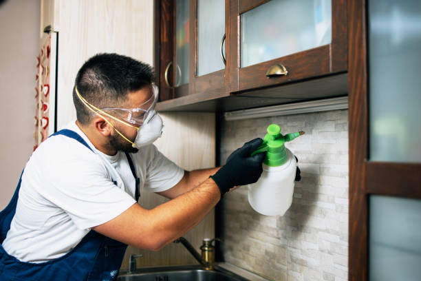 Best Local Pest Control Services  in Lafayette, CA