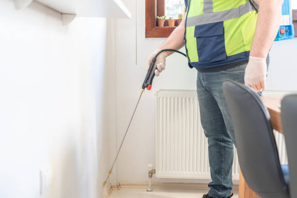 Best Flea Control Services  in Lafayette, CA