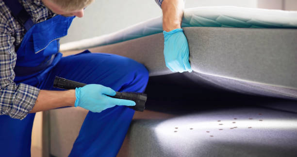 Best Pest Control Near Me  in Lafayette, CA